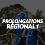 MINIATURE PROLONGATIONS R1 SITE